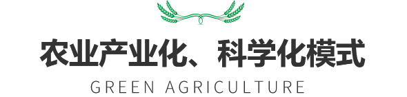 生態健康肥  助力綠色農業